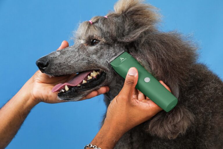 Dog Grooming Scissors