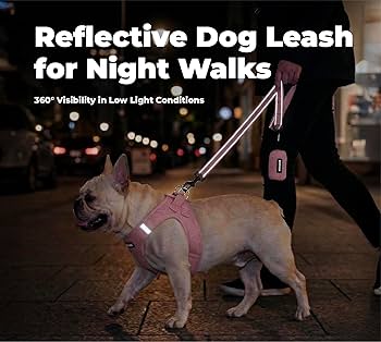 Reviews Of The Best Reflective Collars For Night Walks