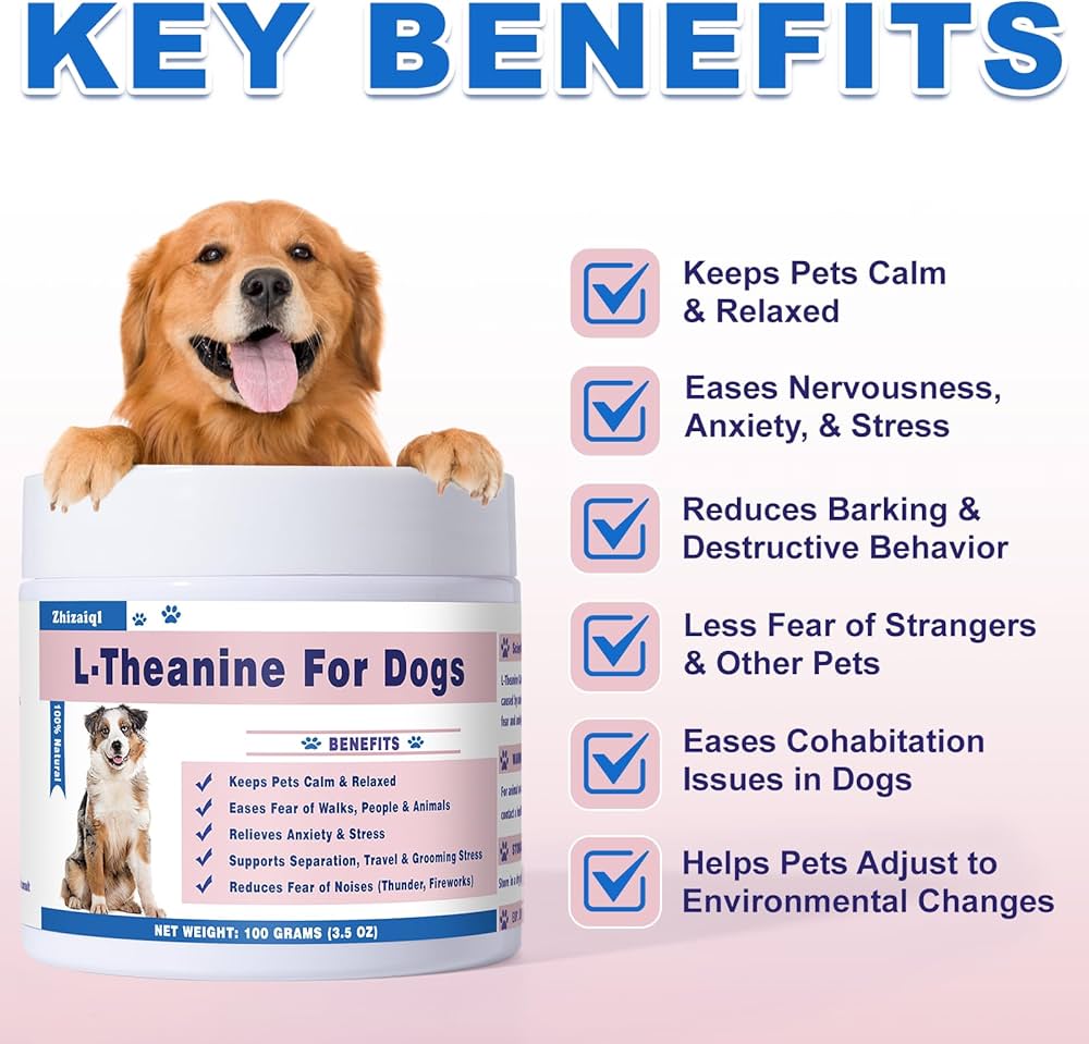 How To Groom A Nervous Dog Without Stress Or Fear