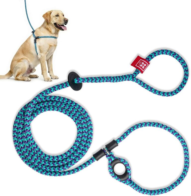Best Dog Seat Belt Harnesses