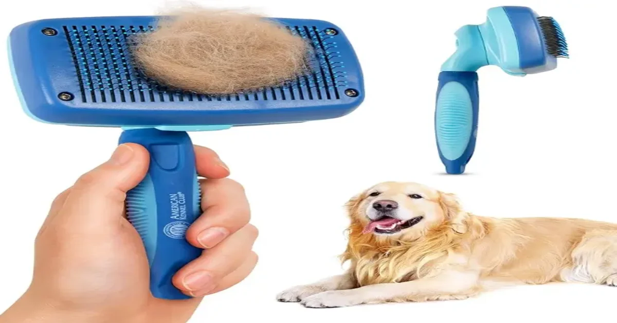 Remove Dog Hair From A Brush