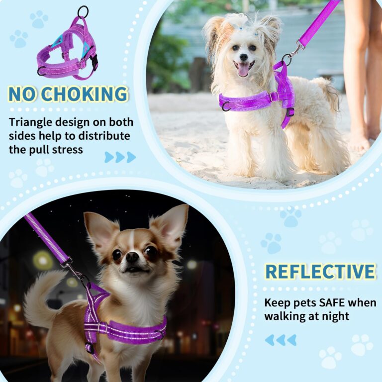 How To Keep A Dog Harness From Twisting During Walks