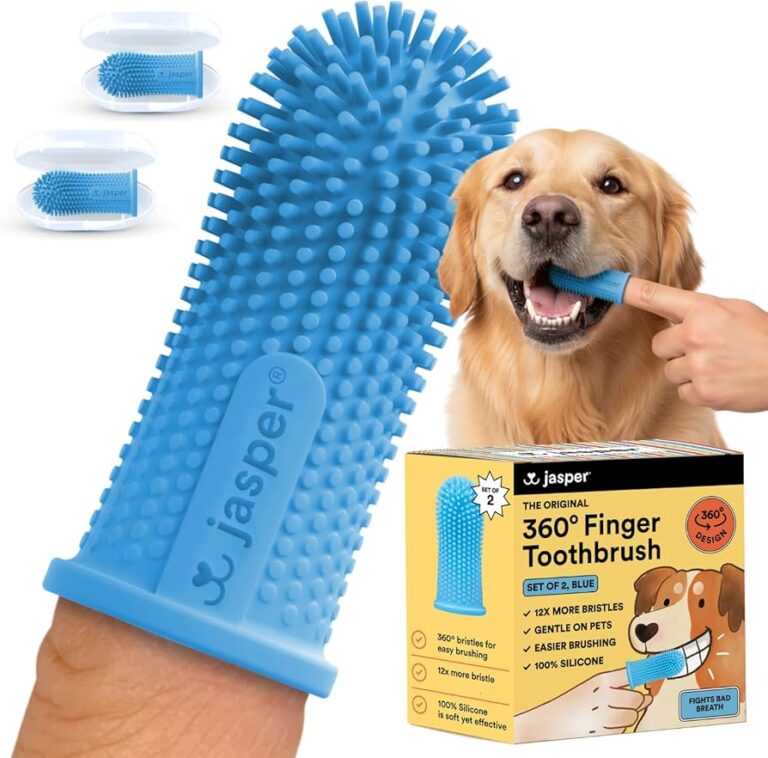 Signs You're Using The Wrong Dog Brush