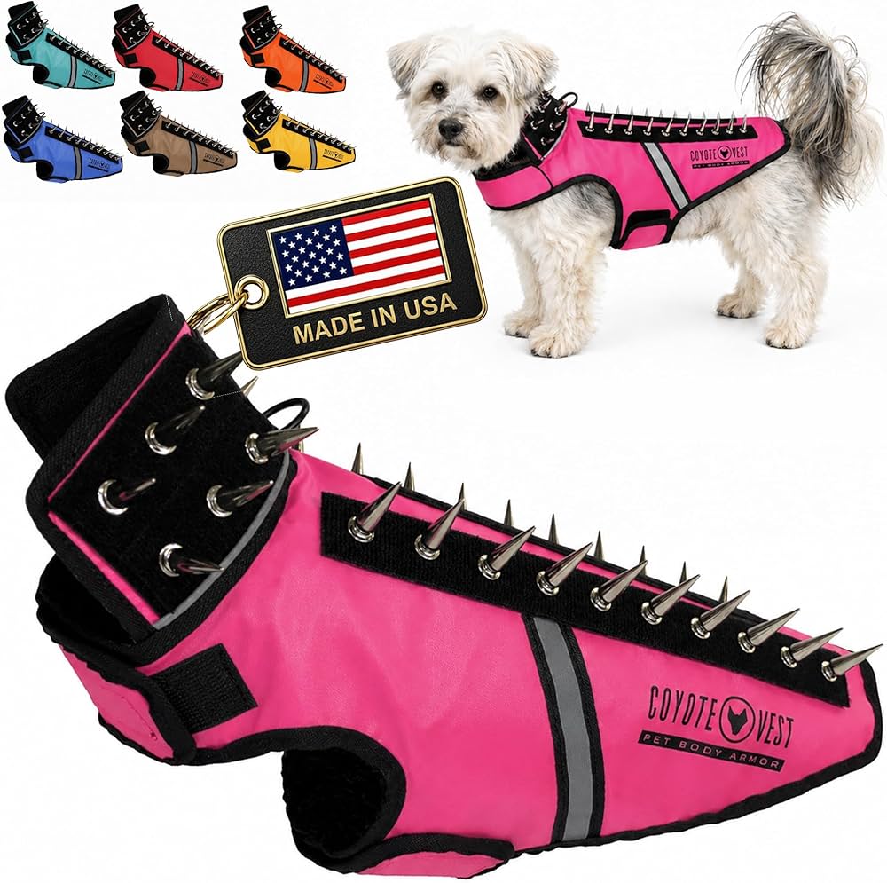 Replace Your Dog's Collar Or Harness