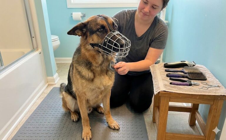 How To Brush A Dog That Bites