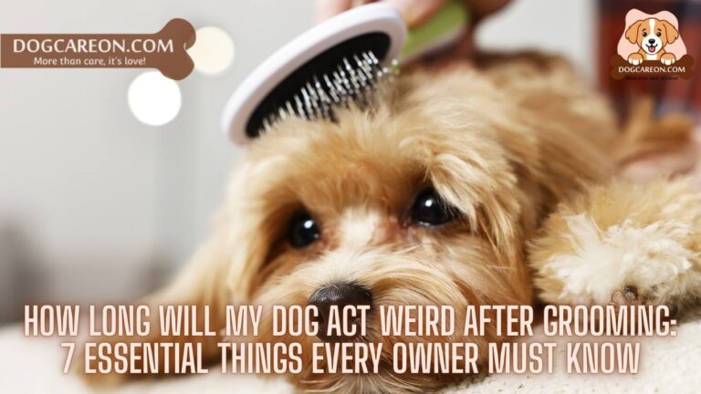 Can Self-Cleaning Dog Brushes Damage A Dog’s Coat?