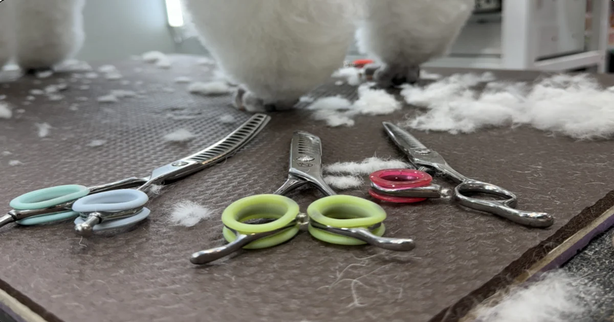 How To Clean And Disinfect Dog Grooming Tools Properly