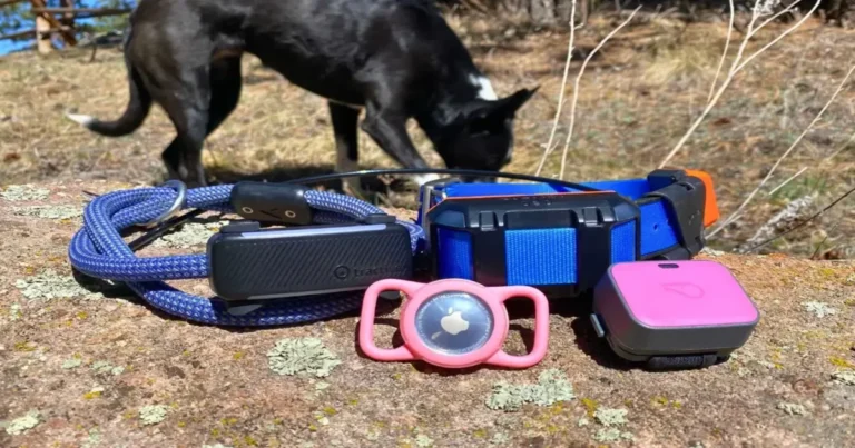 Best Dog GPS Trackers For Travel And Outdoor Adventures