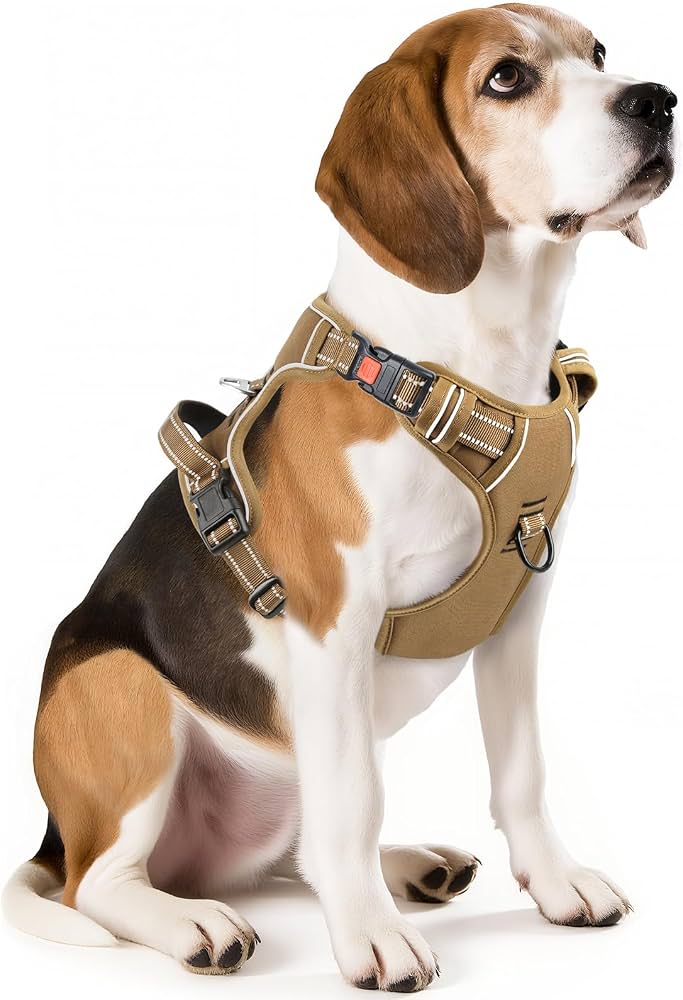 How To Stop A Dog From Rubbing Its Neck On A Collar
