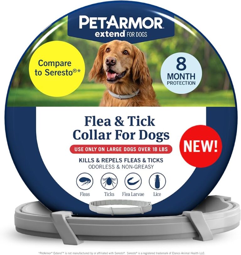 Can Fleas Hide Under A Dog Collar?