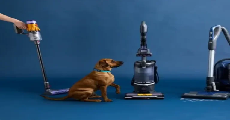 How To Get Dog Hair Out Of Carpet